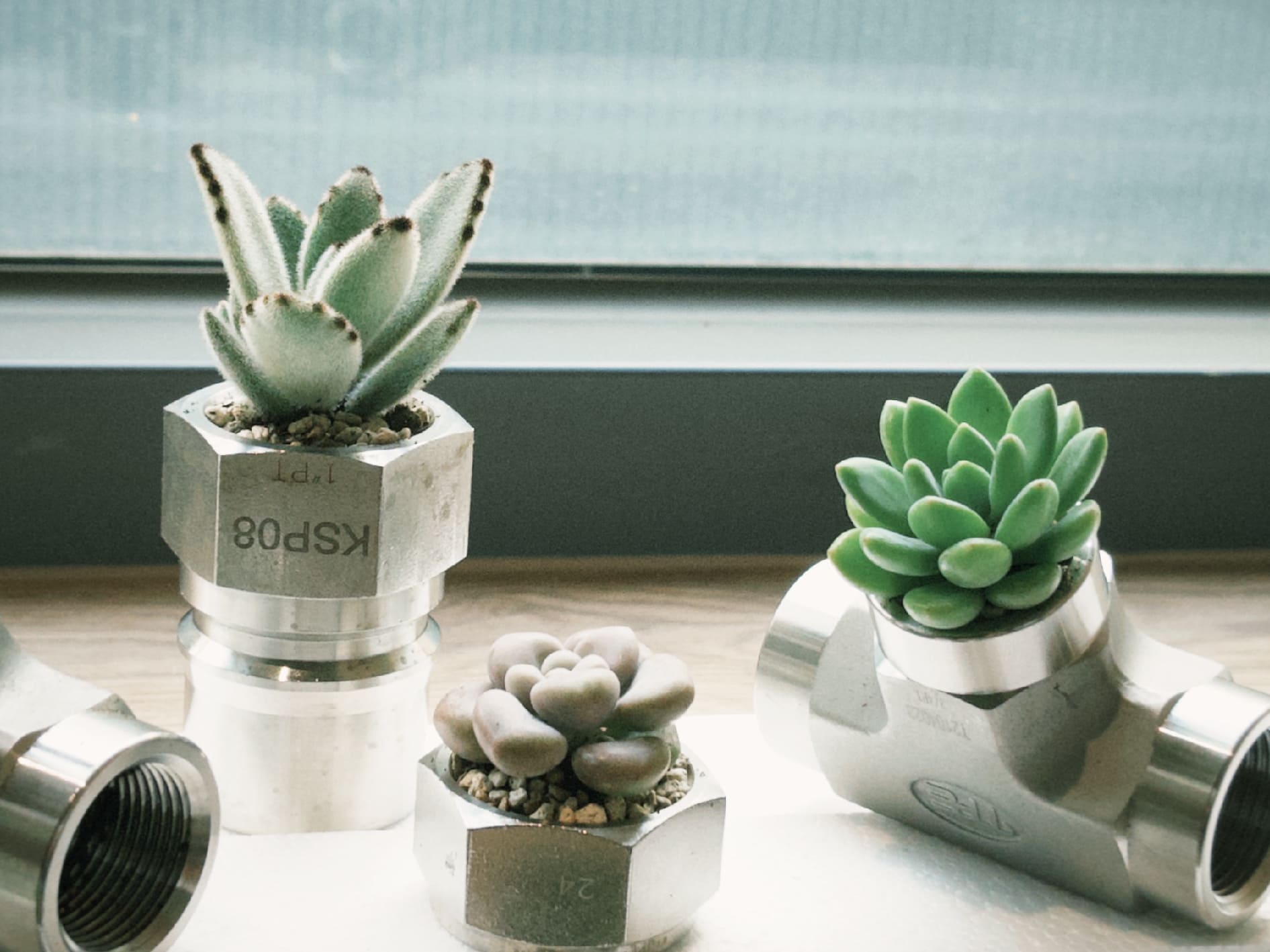 Succulent planters creatively made using JPE stainless-steel fittings as upcycled containers.